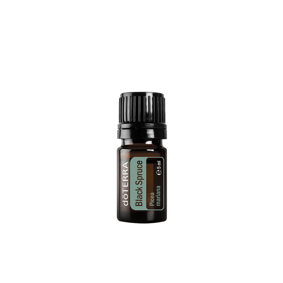Öl dōTERRA | Schwarze Fichte | Black Spruce